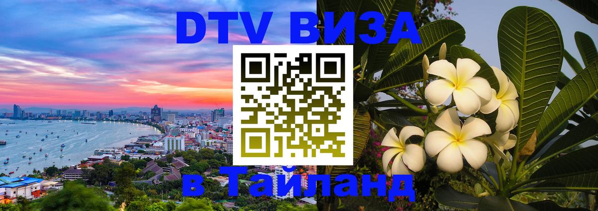 Оформление DTV визы под ключ: стоимость и тарифы, только загранпаспорт - Чебоксары 